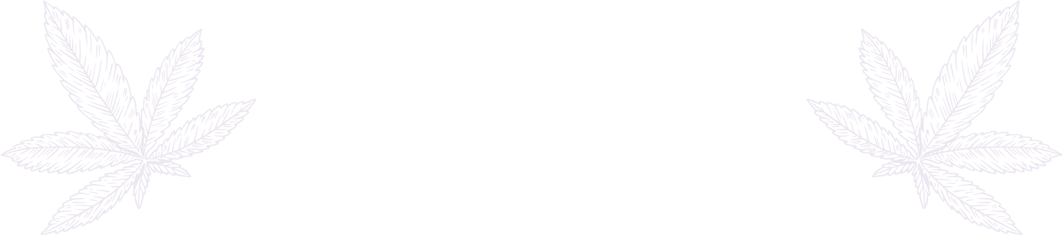 bg-3