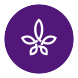 medlefe-icon